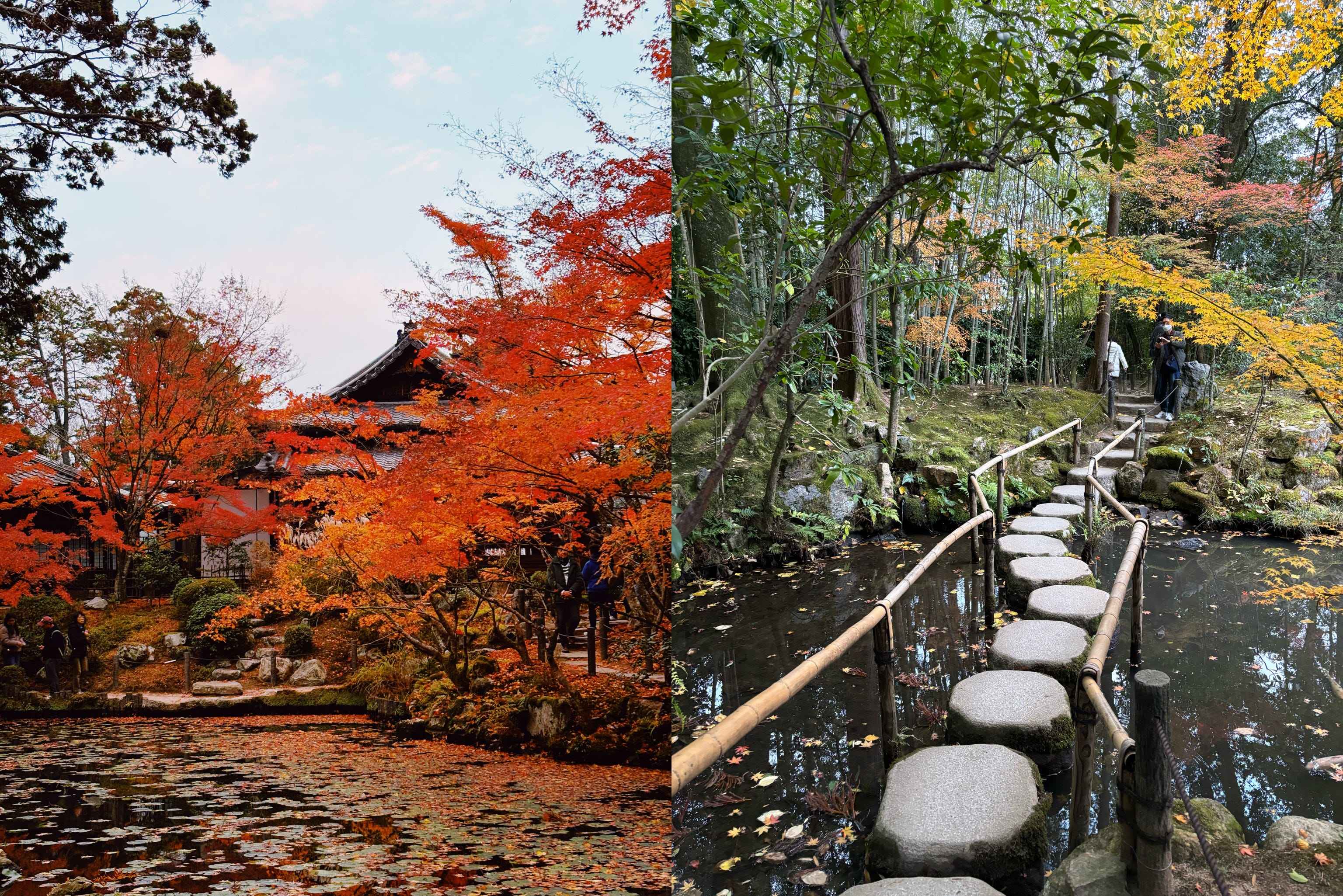 🖋️ 요코미조 세이시 피난 가옥 (요코미조 세이시 소카이타쿠) 이미지 10